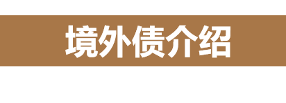 境外债介绍